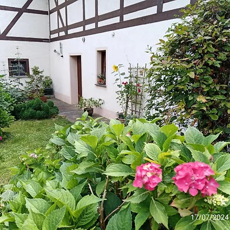 Zimmervermietung בית הארחה דרזדן