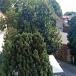 Zimmervermietung 3* Drážďany
